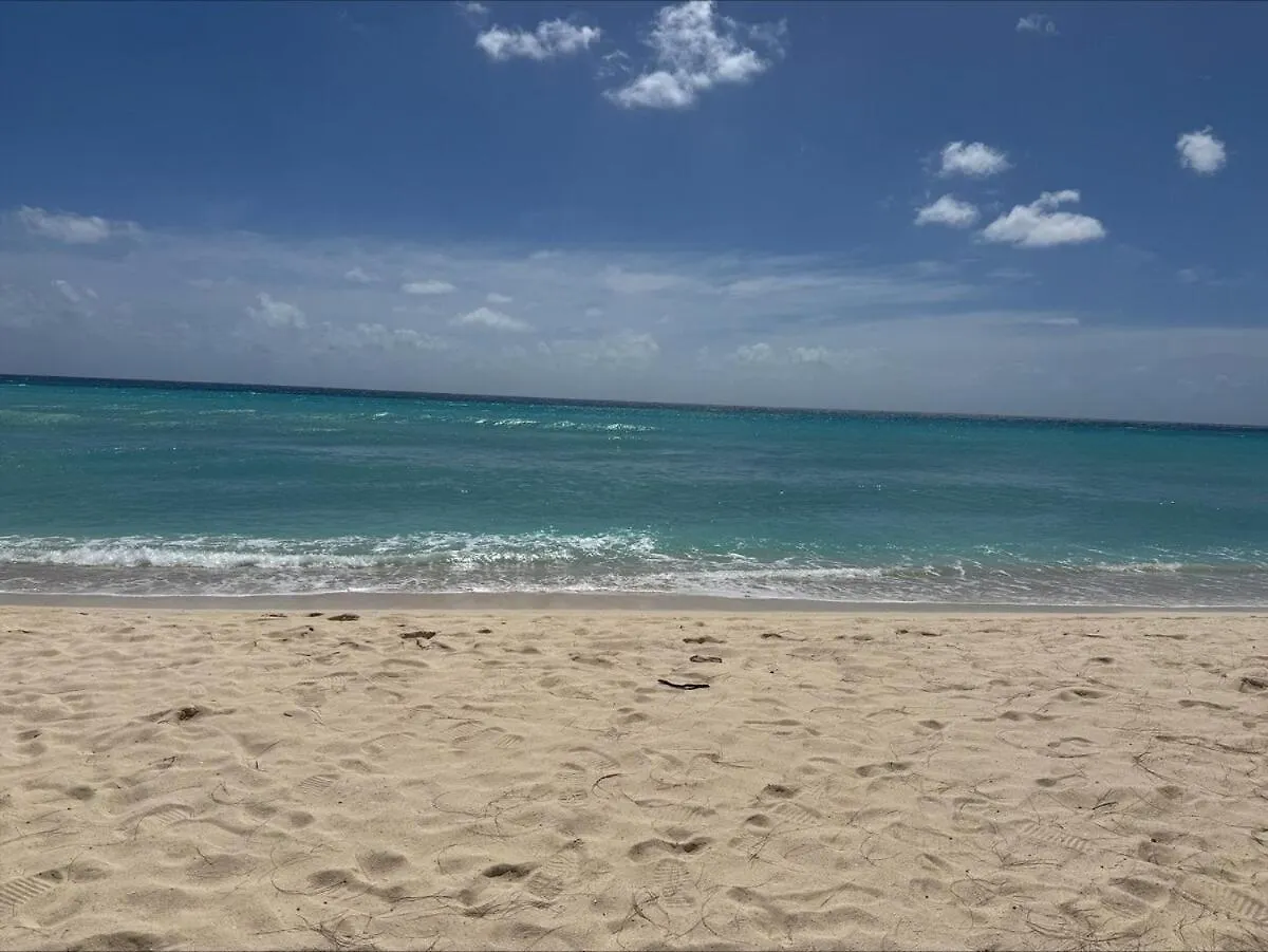 401 Terraces Ocean View Penthouse Apartman Christ Church Barbados