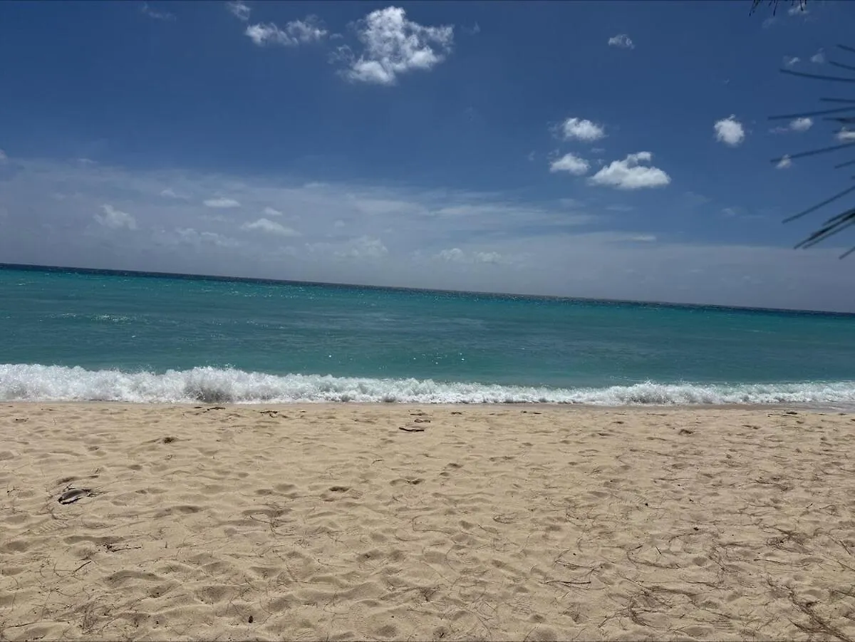 401 Terraces Ocean View Penthouse Apartman Christ Church 0*,  Barbados
